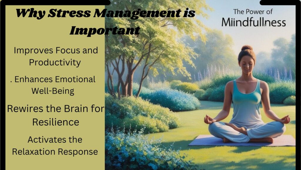 Effective Stress Management Techniques for Daily Balance 4 why stress managment is importantjpg